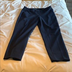 Ann Taylor Loft “Julie” skinny ankle pants